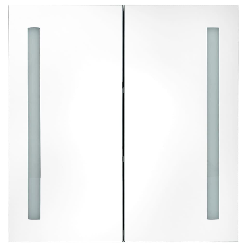vidaXL LED vannitoa peegelkapp, tamm, 62 x 14 x 60 cm цена и информация | Vannitoakapid | kaup24.ee