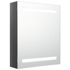 vidaXL LED vannitoa peegelkapp, säravhall, 50 x 14 x 60 cm цена и информация | Шкафчики для ванной | kaup24.ee