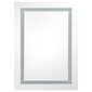 vidaXL LED vannitoa peegelkapp, betoonhall, 50 x 13 x 70 cm hind ja info | Vannitoakapid | kaup24.ee