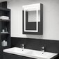vidaXL LED vannitoa peegelkapp, hall, 50 x 13 x 70 cm hind ja info | Vannitoakapid | kaup24.ee