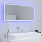 vidaXL LED vannitoa peeglikapp, valge, 100x8,5x37 cm, akrüül hind ja info | Vannitoa peeglid | kaup24.ee