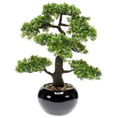 Emerald kunstlik viigimarja minibonsai, roheline, 47 cm, 420006 цена и информация | Искусственные цветы | kaup24.ee