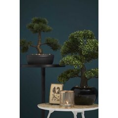 Emerald kunstlik viigimarja minibonsai, roheline, 47 cm, 420006 цена и информация | Искусственные цветы | kaup24.ee