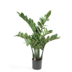 Emerald kunsttaim Zamioculcas 70 cm цена и информация | Искусственные цветы | kaup24.ee