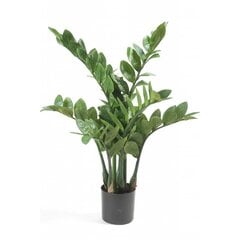 Emerald kunsttaim Zamioculcas 70 cm цена и информация | Искусственные цветы | kaup24.ee