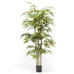 Emerald kunsttaim bambus 150 cm цена и информация | Искусственные цветы | kaup24.ee
