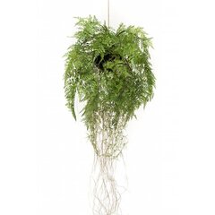 Emerald kunsttaim rippsõnajalg juurtega, 35 cm hind ja info | Kunstlilled | kaup24.ee