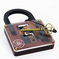 Einstein Collection Lock Puzzle цена и информация | Настольные игры, головоломки | kaup24.ee