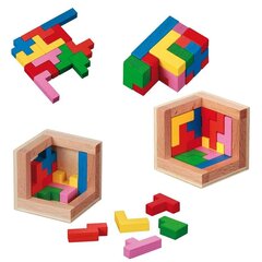 Настольная игра Philos Pentominos Puzzle 3558 цена и информация | Развивающие игрушки | kaup24.ee