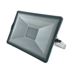 Prožektor SMD Led 30 W / Silver Slim / 3000K / 2700Lm IP65 Optonica цена и информация | Фонарики, прожекторы | kaup24.ee