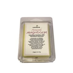 Aroomivaha Magnoolia цена и информация | Эфирные, косметические масла, гидролаты | kaup24.ee