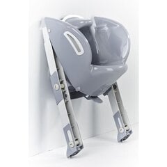 Tualettpotti aste Thermobaby Kiddyloo, Grey Charme hind ja info | Pissipotid | kaup24.ee