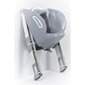 Tualettpotti aste Thermobaby Kiddyloo, Grey Charme hind ja info | Pissipotid | kaup24.ee