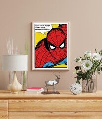 Spiderman - retro plakat 40x50 cm hind ja info | Seinapildid | kaup24.ee
