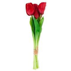 Искусственные тюльпаны, 5 шт., красные цена и информация | Детали интерьера | kaup24.ee