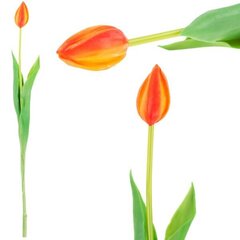 Kunsttulp, oranž цена и информация | Детали интерьера | kaup24.ee