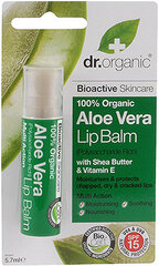 Dr. Organic Aloe Vera huulepalsam 5,7 ml цена и информация | Помады, бальзамы, блеск для губ | kaup24.ee