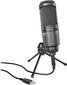 Kardioidkondensaator mikrofon Audio Technica AT2020USB+ hind ja info | Mikrofonid | kaup24.ee
