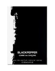 Comme des Garcons Blackpepper EDP naistele, 50ml цена и информация | Женские духи | kaup24.ee