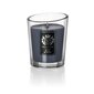 Lõhnaküünal VELLUTIER "Porto di Amalfi", 225 g цена и информация | Küünlad, küünlajalad | kaup24.ee