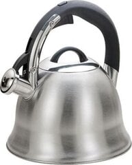 Чайник kettle Maestro MR-1320 Silver, 3 л цена и информация | Чайники, кофейники | kaup24.ee