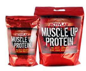 БАД ActivLab Muscle up Protein, Strawberry, 700 г цена и информация | Протеин | kaup24.ee