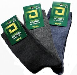 Мужские носки с эластаном, разные цвета, 6 пар цена и информация | Meeste sokid | kaup24.ee