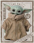 Star Wars The Mandalorian Yoda Child – plakat 40x50 cm hind ja info | Seinapildid | kaup24.ee