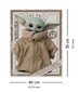 Star Wars The Mandalorian Yoda Child – plakat 40x50 cm hind ja info | Seinapildid | kaup24.ee