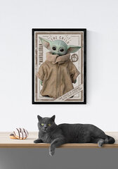 Star Wars The Mandalorian Yoda Child – plakat 40x50 cm hind ja info | Seinapildid | kaup24.ee