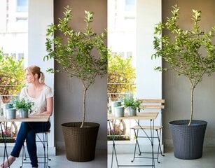 Уличное (садовое) кашпо Conic Planter 56L, антрацит, ТМ Кетер цена и информация | Вазоны | kaup24.ee