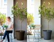 Keter lillepotiümbris CONIC PLANTER 56L, anthracite цена и информация | Dekoratiivsed lillepotid | kaup24.ee