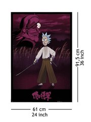 Rick ja Morty Samurai Rick – plakat 61x91,5 cm hind ja info | Seinapildid | kaup24.ee