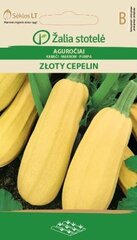 Suvikõrvits Zloty cepelin, 0.5 g hind ja info | Köögivilja-, marjaseemned | kaup24.ee