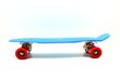 Rula Pennyboard 55 cm hind ja info | Rulad | kaup24.ee