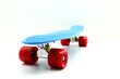 Rula Pennyboard 55 cm hind ja info | Rulad | kaup24.ee