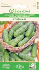 Огурцы обыкновенные Bohemia H цена и информация | Семена овощей, ягод | kaup24.ee