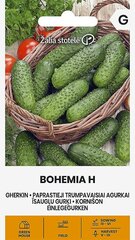 Огурцы обыкновенные Bohemia H цена и информация | Семена овощей, ягод | kaup24.ee