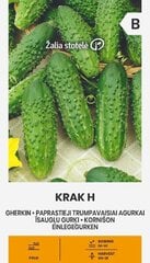 Tavalised lühiviljalised kurgid Krak H цена и информация | Семена овощей, ягод | kaup24.ee