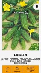 Tavalised lühiviljalised kurgid Libelle H цена и информация | Семена овощей, ягод | kaup24.ee