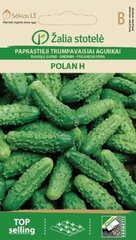 Огурцы Polan H цена и информация | Семена овощей, ягод | kaup24.ee