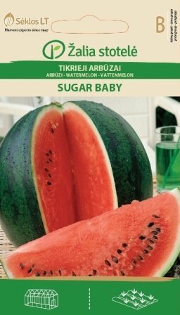 Arbuus Sugar baby hind ja info | Köögivilja-, marjaseemned | kaup24.ee