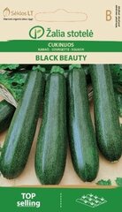 Suvikõrvits Black beauty цена и информация | Семена овощей, ягод | kaup24.ee