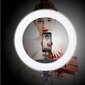 XXL (44 cm) LED-rõngasvalgusti kaugjuhtimispuldiga (ilma aluseta), YQ-480B цена и информация | Fotovalgustuse seadmed | kaup24.ee