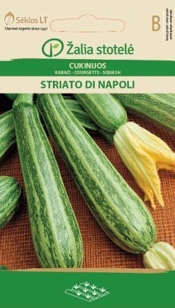 Suvikõrvits Striato di Napoli hind ja info | Köögivilja-, marjaseemned | kaup24.ee