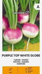 Naeris Purple top white globe hind ja info | Köögivilja-, marjaseemned | kaup24.ee
