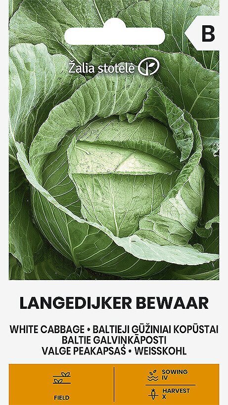 Valge kapsas Langedijker dauer hind ja info | Köögivilja-, marjaseemned | kaup24.ee