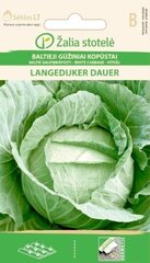 Valge kapsas Langedijker dauer цена и информация | Семена овощей, ягод | kaup24.ee