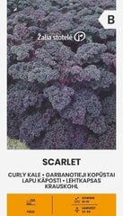 Lehtkapsas Scarlet hind ja info | Köögivilja-, marjaseemned | kaup24.ee