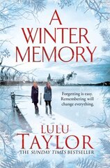 A Winter Memory hind ja info | Romaanid | kaup24.ee